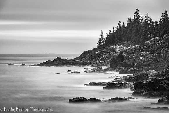 Acadia Black and White