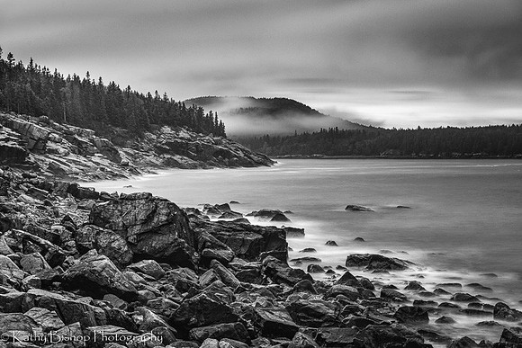 Acadia Gloom