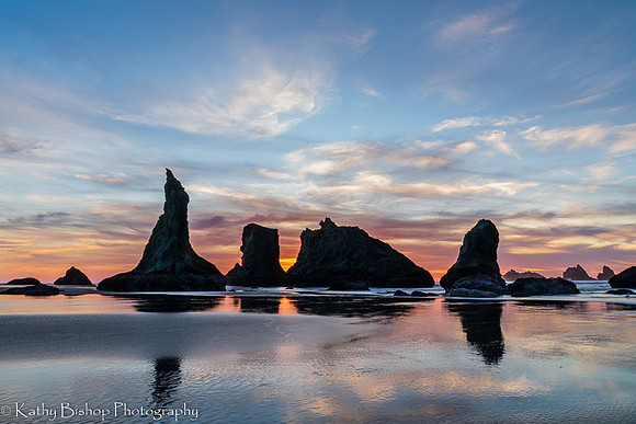 211120Oregon-293