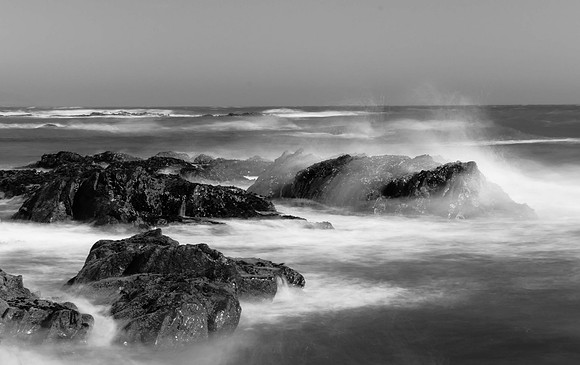 Surf in Black and White