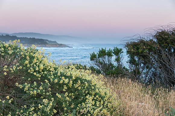 The Coast at Sunset