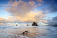 211116Oregon-24
