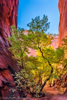 181026Utah351-HDR-2
