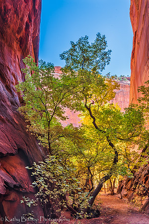 181026Utah351-HDR-2