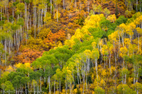 180929Colorado269
