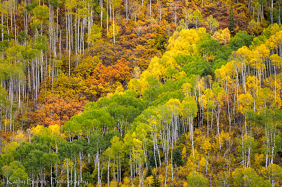 180929Colorado269