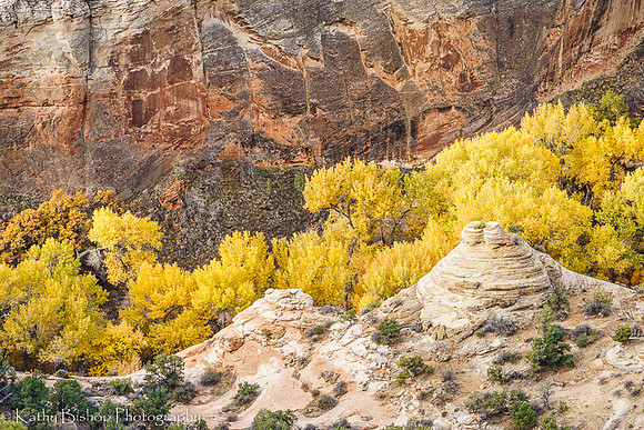 181025Utah115