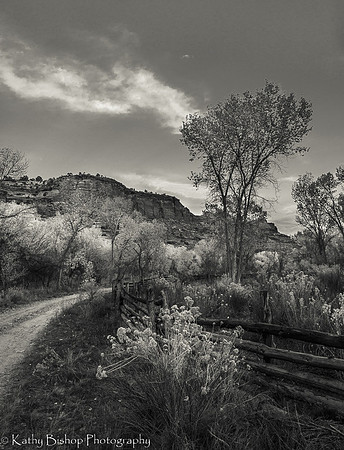 181025Utah180