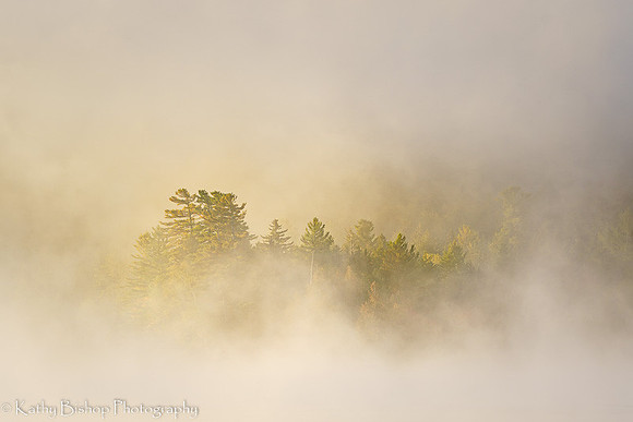 211005Maine486