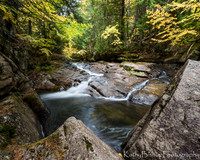 Pollywog Cascade