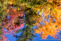 Painted Water