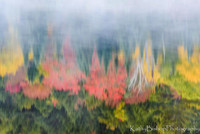 Autumn in Maine