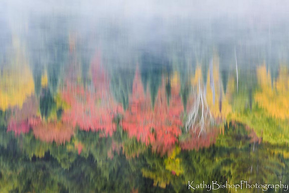 Foggy Reflection