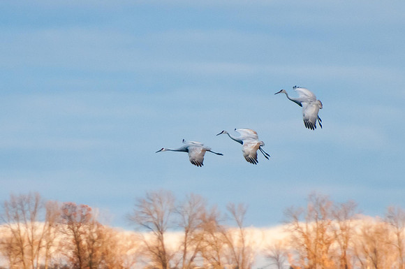 Landing Gear Down