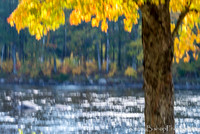 Sparkling River
