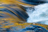 141003FallTrip1194