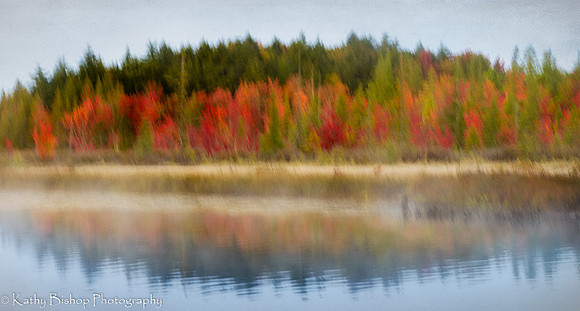 151002Patterns126ColorEfexImpressionandTexture