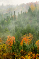 New Hampshire Morning