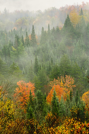 New Hampshire Morning