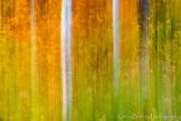 Autumn Blur