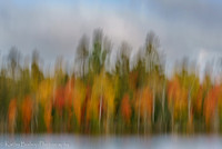 200924Fall112