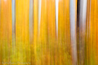 131011FallTrip345