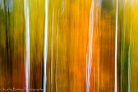 20120930Hayward183