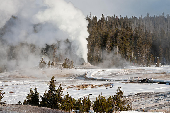 Old Faithful