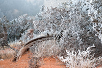 Hoarfrost Magic