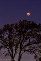 Blood Moon