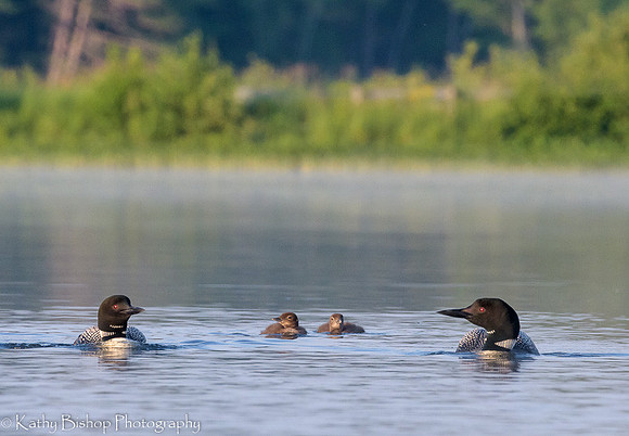 190708Flowage744