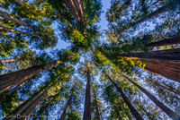 190531California82-HDR