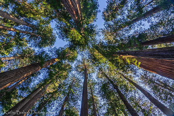 190531California82-HDR