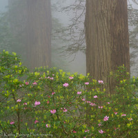 190531California149-2