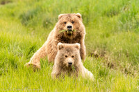210620Alaska 433