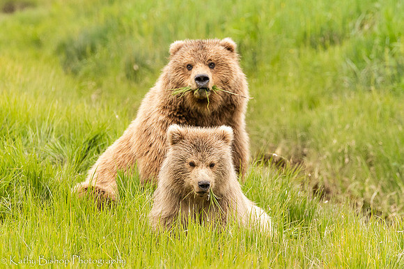 210620Alaska 433
