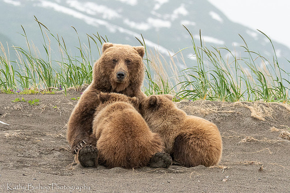 210623Alaska1504