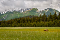 210619Alaska661