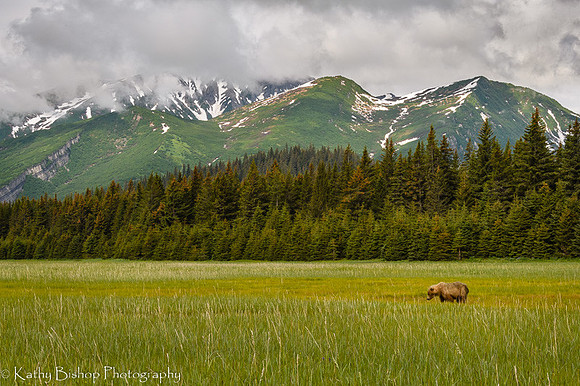210619Alaska661