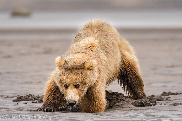 210621Alaska 1025