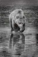 210619Alaska1468