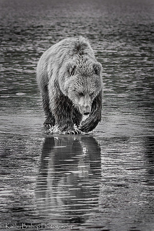 210619Alaska1468