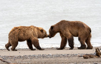 210620Alaska324