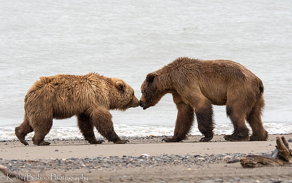 210620Alaska324