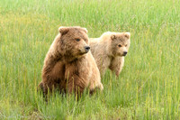 210620Alaska 138