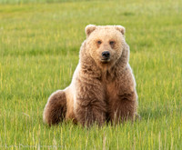 210619Alaska2102