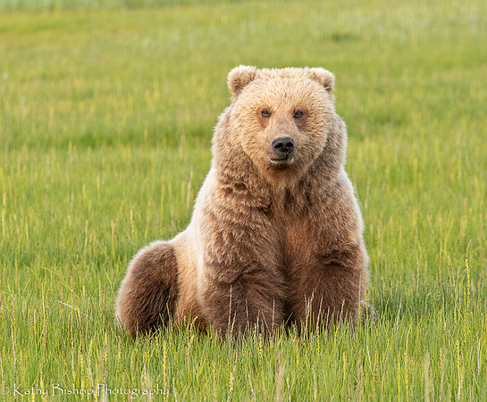 210619Alaska2102