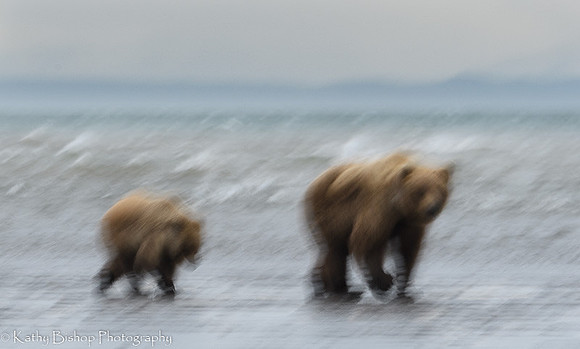 210623Alaska1067