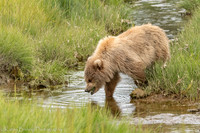 210620Alaska 113
