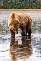 210619Alaska1436